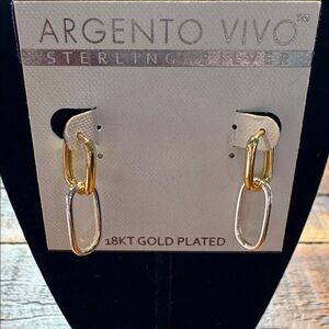 Argento Vivo Gold and Silver Link Earrings